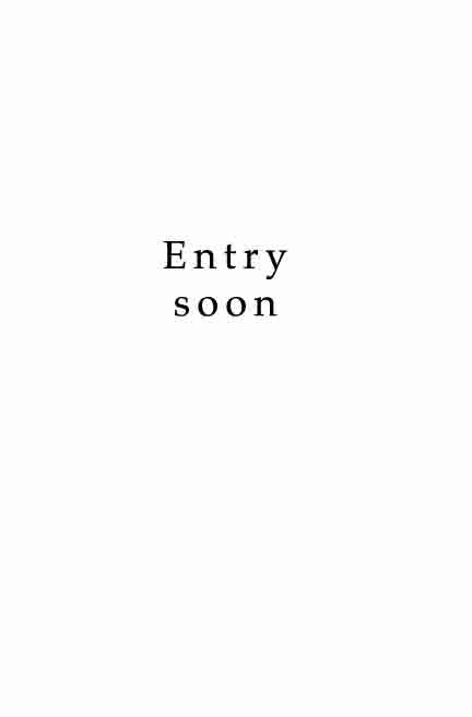 Entry 12
